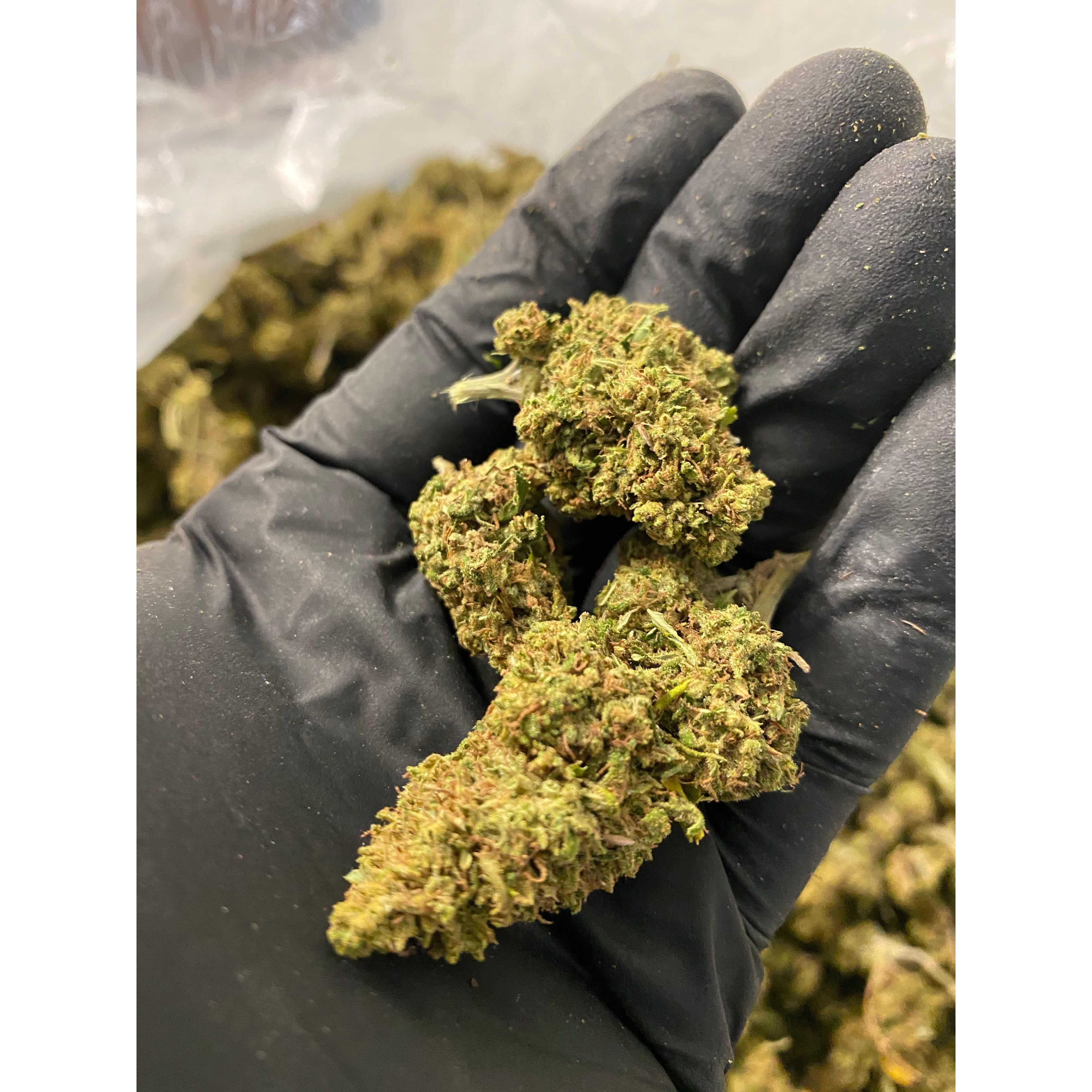 Berry Blossom CBD Flower